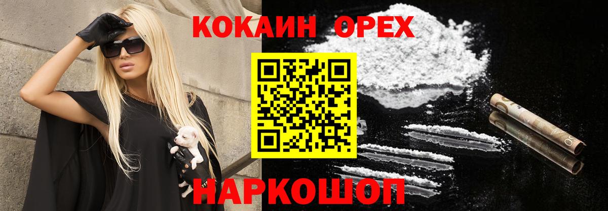 Псилоцибиновые грибы Москва